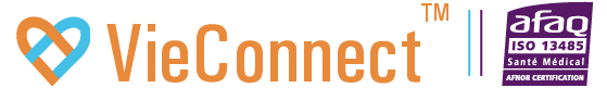 VieConnect Logo