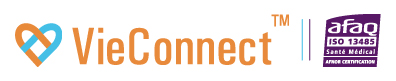 VieConnect Logo